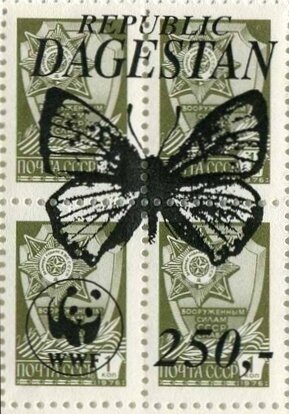 Butterflies WWF