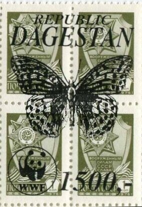 Butterflies WWF