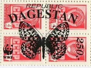 Butterflies WWF