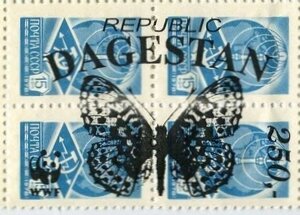 Butterflies WWF