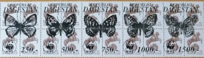 Butterflies WWF