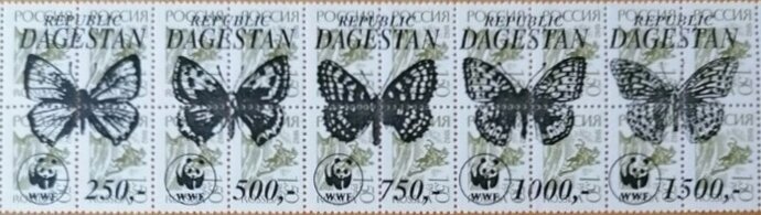 Butterflies WWF