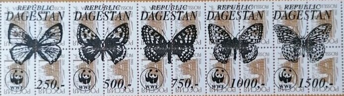 Butterflies WWF