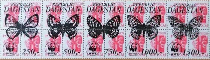 Butterflies WWF