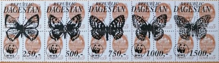 Butterflies WWF