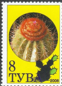 Cacti