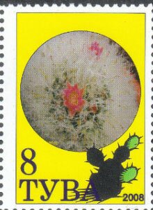 Stamp, Cacti, Cinderellas,  , Cacti, Plants (Flora)
