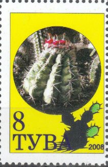 Cacti