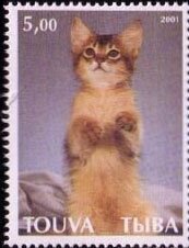 Stamp, Cats, Cinderellas,  , Animals (Fauna), Cats, Mammals