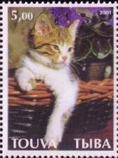 Cats