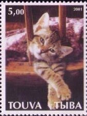 Cats