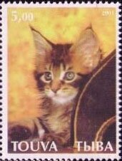 Cats