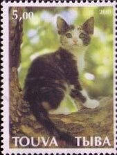 Cats