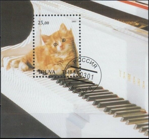 Cats
