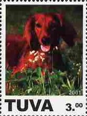 Stamp, Dog, Cinderellas,  , Animals (Fauna), Dogs, Mammals