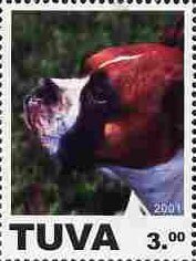 Stamp, Dog, Cinderellas,  , Animals (Fauna), Dogs, Mammals