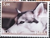Stamp, Dog, Cinderellas,  , Animals (Fauna), Dogs, Mammals