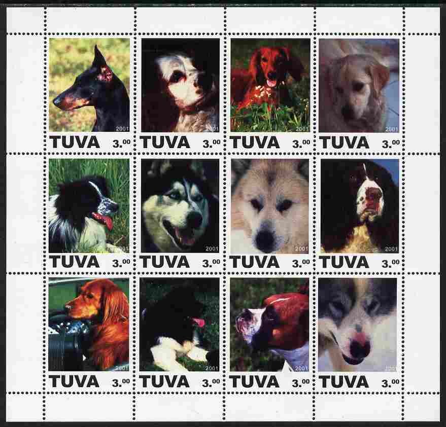 Dogs