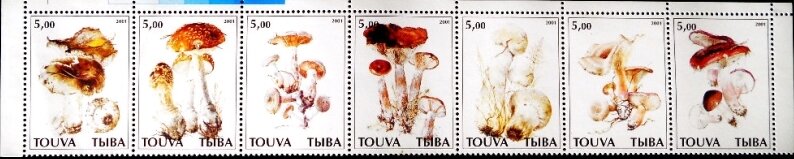 Se-tenant, Mushrooms, Cinderellas,  , Mushrooms