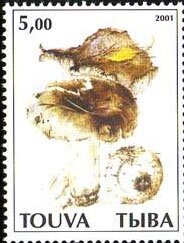 Mushrooms