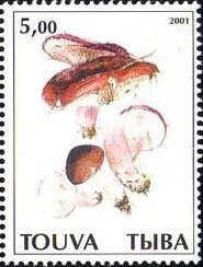 Mushrooms