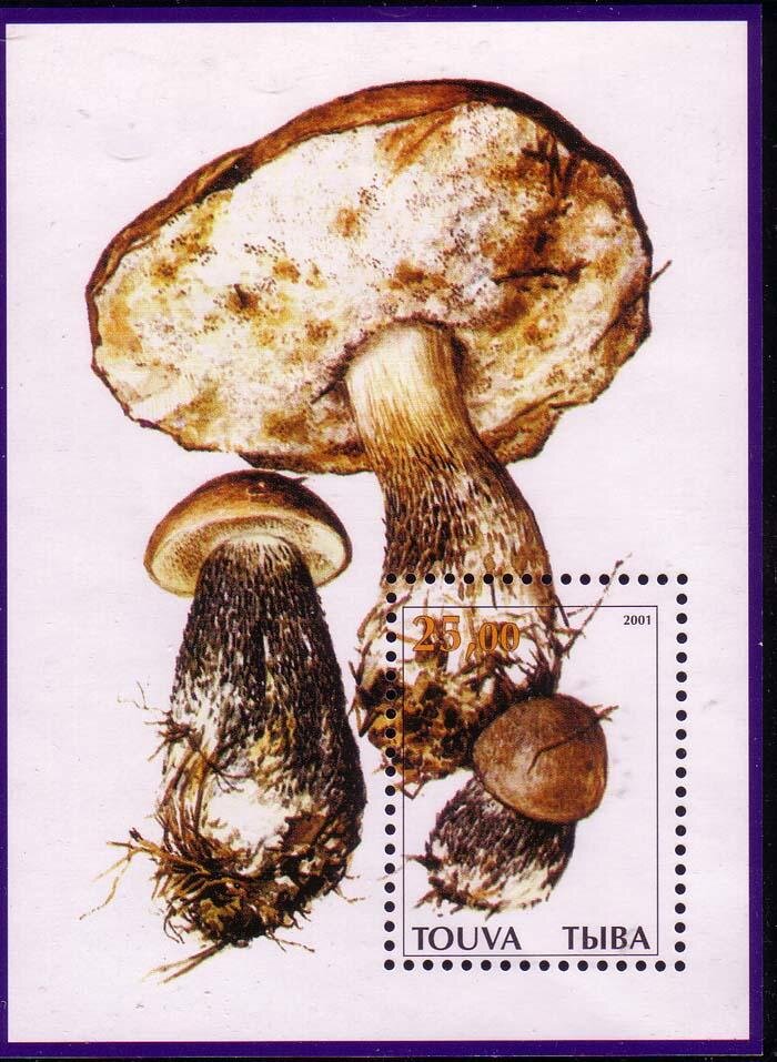 Mushrooms