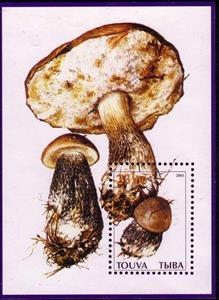 Souvenir Sheet, Mushrooms, Cinderellas,  , Mushrooms