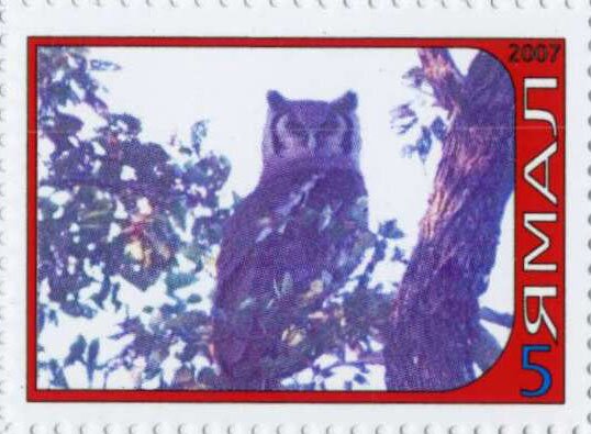 Owl