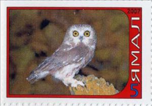 Stamp, Owl, Cinderellas,  , Animals (Fauna), Birds, Birds of Prey, Owls
