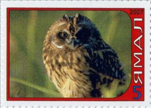 Stamp, Owl, Cinderellas,  , Animals (Fauna), Birds, Birds of Prey, Owls