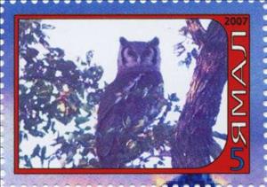 Stamp, Owl, Cinderellas,  , Animals (Fauna), Birds, Birds of Prey, Owls