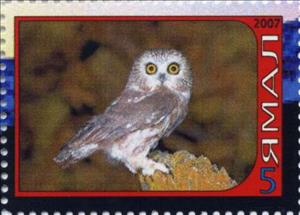 Stamp, Owl, Cinderellas,  , Animals (Fauna), Birds, Birds of Prey, Owls