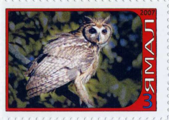 Owl