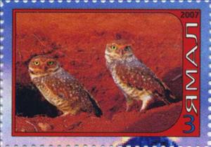 Stamp, Owl, Cinderellas,  , Animals (Fauna), Birds, Birds of Prey, Owls