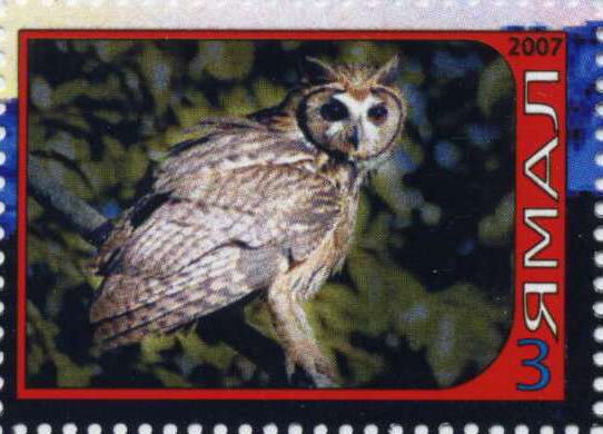 Owl