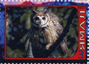 Stamp, Owl, Cinderellas,  , Animals (Fauna), Birds, Birds of Prey, Owls