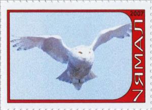 Stamp, Owl, Cinderellas,  , Animals (Fauna), Birds, Birds of Prey, Owls