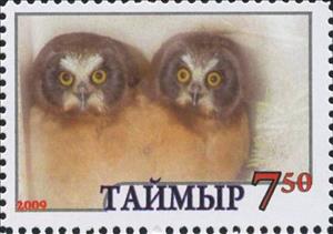 Stamp, Owl, Cinderellas,  , Animals (Fauna), Birds, Owls