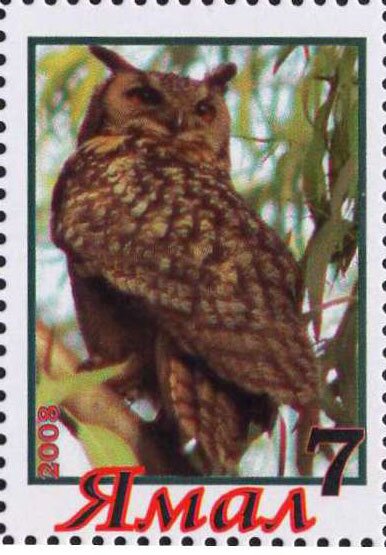 Owl