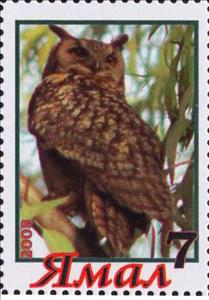 Stamp, Owl, Cinderellas,  , Animals (Fauna), Birds, Birds of Prey, Owls