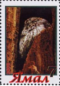 Stamp, Owl, Cinderellas,  , Animals (Fauna), Birds, Birds of Prey, Owls