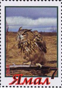 Stamp, Owl, Cinderellas,  , Animals (Fauna), Birds, Birds of Prey, Owls
