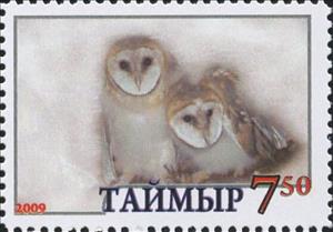 Stamp, Owl, Cinderellas,  , Animals (Fauna), Birds, Owls