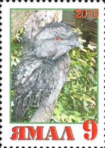 Stamp, Owl, Cinderellas,  , Animals (Fauna), Birds, Birds of Prey, Owls