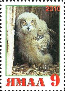 Stamp, Owl, Cinderellas,  , Animals (Fauna), Birds, Birds of Prey, Owls