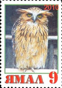 Stamp, Owl, Cinderellas,  , Animals (Fauna), Birds, Birds of Prey, Owls