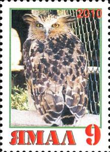 Stamp, Owl, Cinderellas,  , Animals (Fauna), Birds, Birds of Prey, Owls