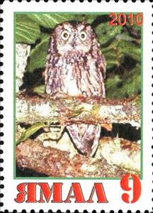 Stamp, Owl, Cinderellas,  , Animals (Fauna), Birds, Birds of Prey, Owls