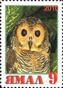 Stamp, Owl, Cinderellas,  , Animals (Fauna), Birds, Birds of Prey, Owls