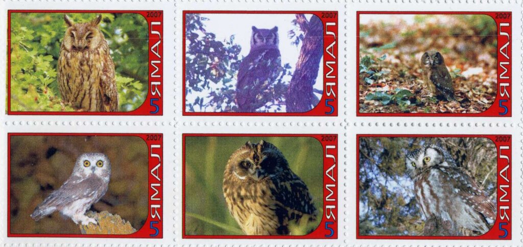 Owls